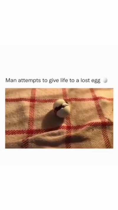 This guy helped a lost egg to hatch…