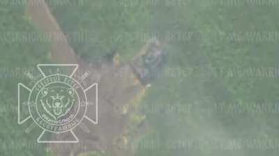 RU POV: Ukrainian 2С6 Tunguska gets hit by Lancet drones, Sumi direction 