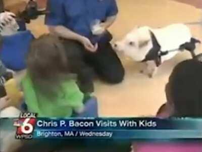 Wait for... Chris P. Bacon