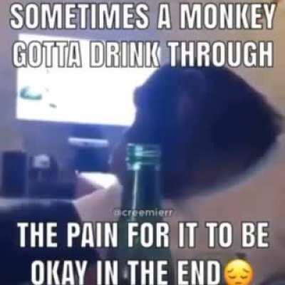 Monke sad 😥