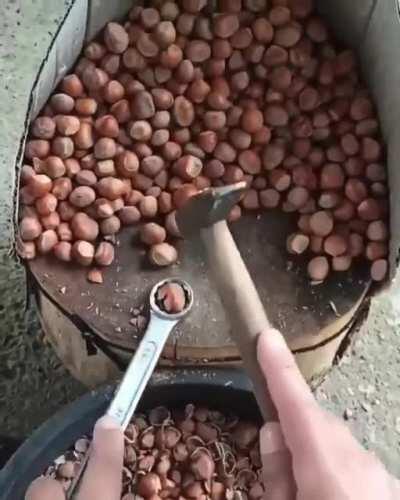 Cracking hazelnuts with a wrench