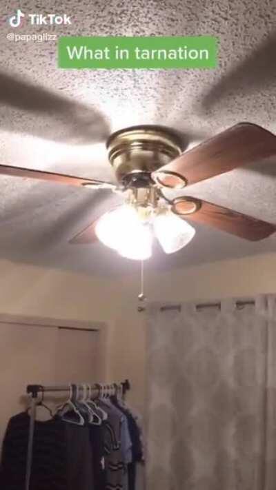 Ceiling fan ;D