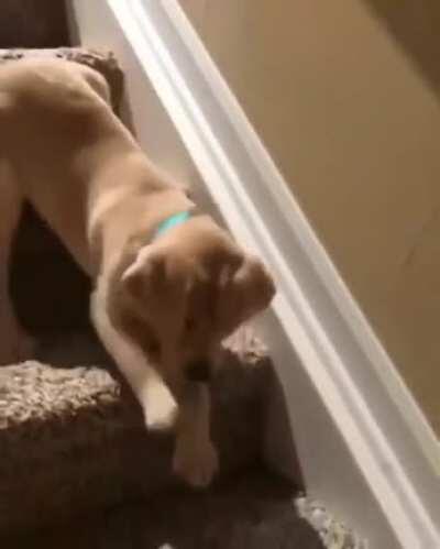 Stairs are hard when you are young