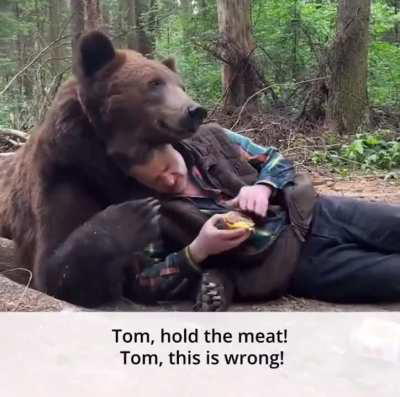 A bear refuses to eat a cheese burger 