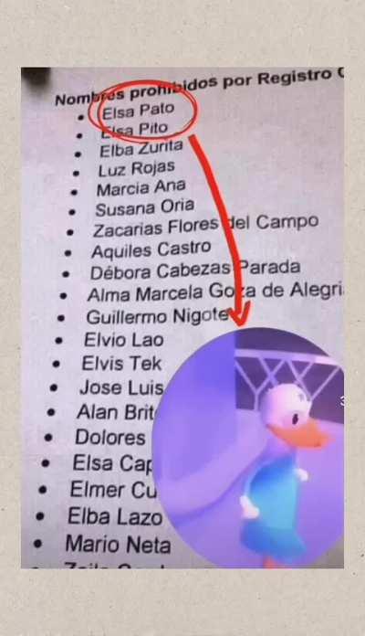 Nombres prohibidos en el registro civil: Elsa Pato