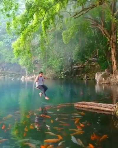 Swing above a natural koi fish lake at Telaga Biru Cicerem