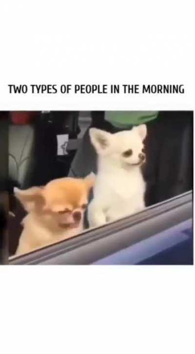 two types of people in the morning