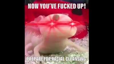 Axolotl gonna fuck you up.