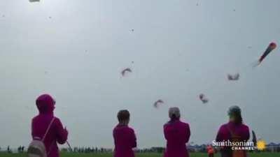 🔥 International kite festival in Weifang, China : nextfuc...