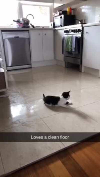 My kitty on wet floor for the first time