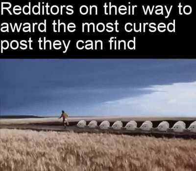 All cursed things are wholesome - redditors