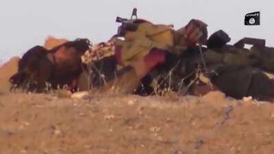 ISIS in the Sinai (Eygpt) taking heavy casualties