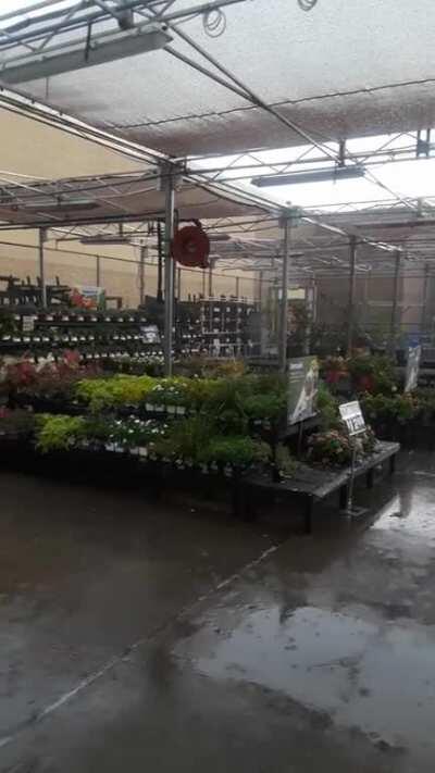 Heavy downpour in the garden center. Relaxing.