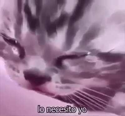 Cuando banean a tu trol preferido. (ya se que es un repost pero 😿)