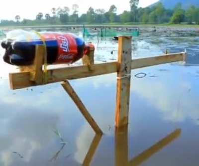 Fishing with coca bottle