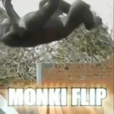 Monki Flip