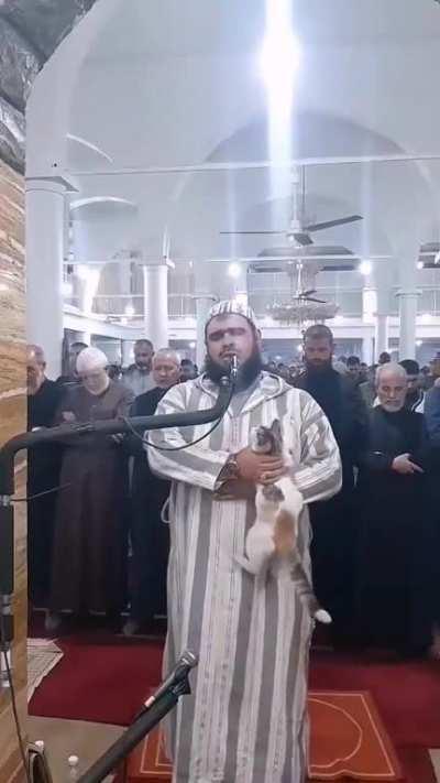 A cat jumped on an Imam as he recited a prayer in Algeria