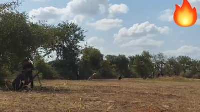 PDF(People's Defense Force) shelling a Myanmar Army column with homemade mortars in Sagaing, Myanmar. They are using a DJI Mavic to aim the mortar fire.