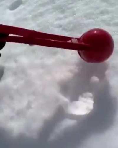 the most perfect snowball you will ever see...