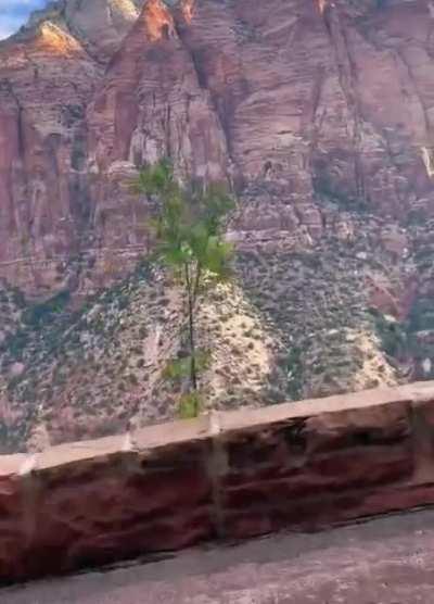 The entrance to Zion National Park