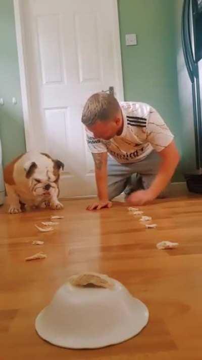 Man challenges his dog to an eating competition.