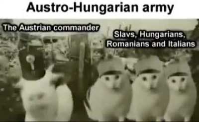 Imagine not understanding what your austrian commander is ordering you