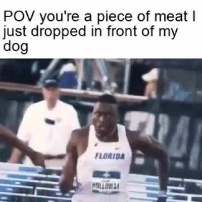 Let the good boy eat