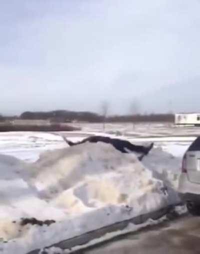 WCGW jumping in the snow?