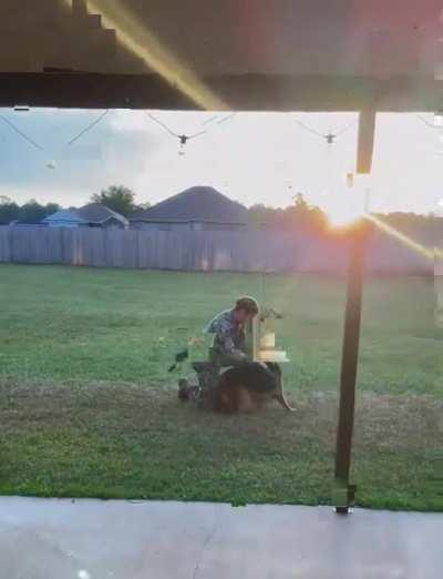 Good boy welcomes his human home after a 6 month deployment