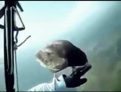 🔥 🔥 🔥 Bird stops by to visit a skydiver