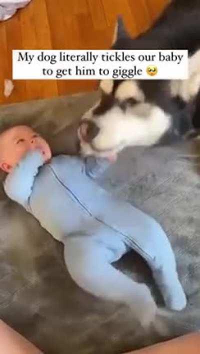 LiOn GrOwLs AnD tRiEs To EaT bAbY