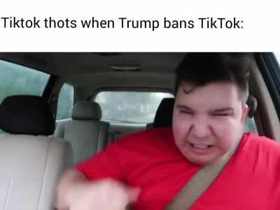 Those tiktokers gonna be moving to Canada to do some stupid dances.