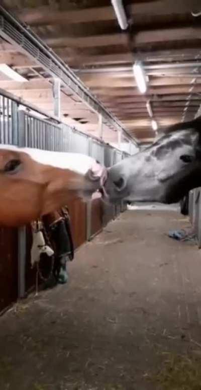 A stable relationship