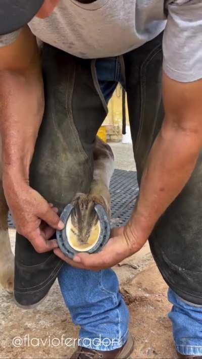 Farrier blacksmith shoes a client's horse