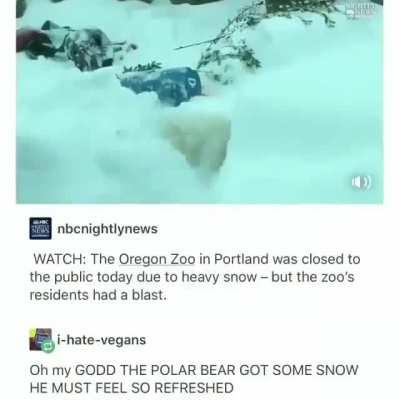 The Oregon Zoo 2017