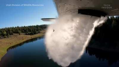 Thousands of fish are regularly dropped from a plane to restock Utah lakes. One plane trip can drop up to 35 000 fish.