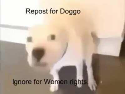 Doggo