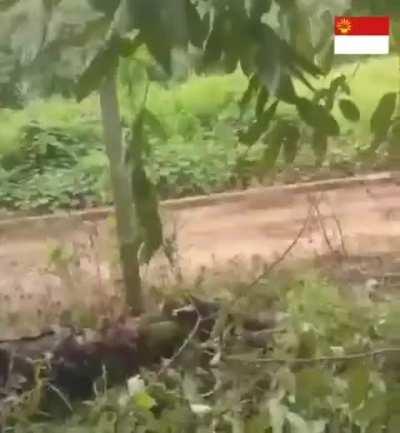 Footage of BPLA (Bamar People's Liberation Army) troops fighting Junta forces under the MNDAA (Myanmar Nationalities Democratic Alliance Army) during battles in the Kokang region (an ethnic Chinese-majority region). (December 2023)