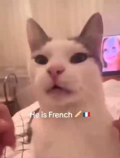 French Wunkus