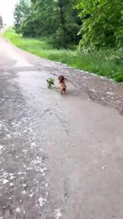 One busy branch manager