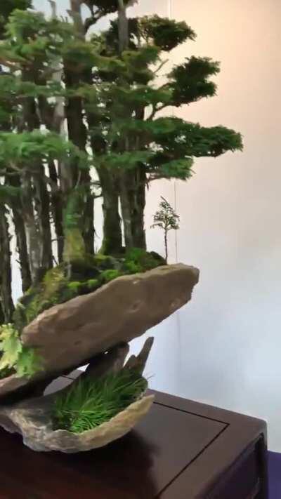 🔥 Bonsai Tree Forest