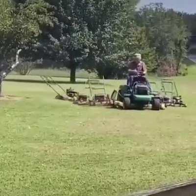 A flock of baby lawnmowers following the alpha mower as they migrate during lawn season