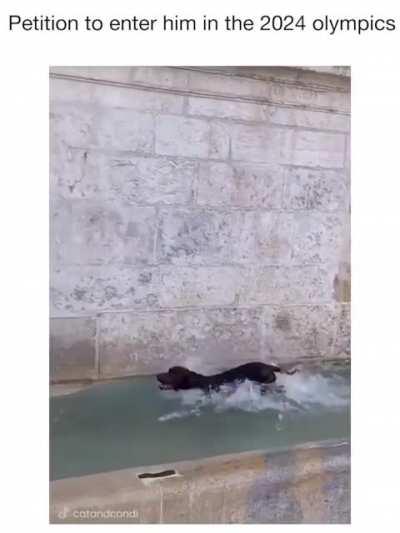 Water zoomie