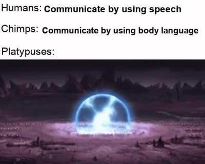 Fun fact: Platypuses make use of electrical impulses to communicate. TheMoreYouKnow