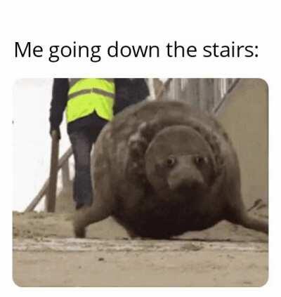 I hate stairs. My limp makes it worse.