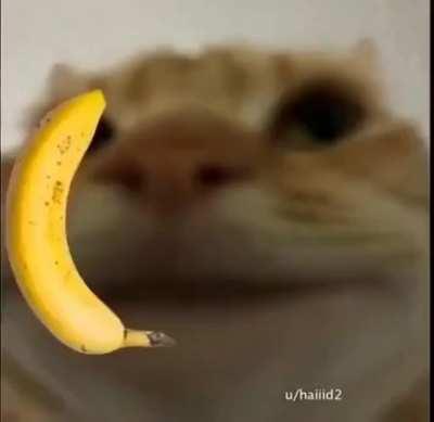 Banana phone