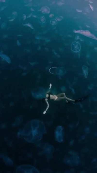 🔥 Floating in a field of Jellyfish in the beautiful waters of Raja Ampat