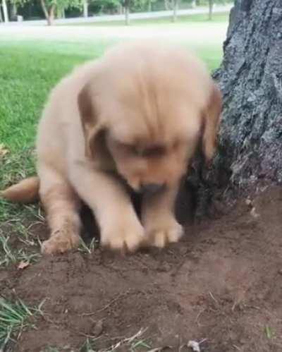 Digging a hole can be very exhausting