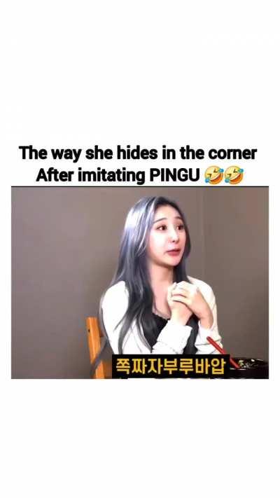 PINGU