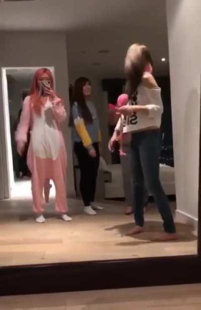 Fuslie waving in a mirror - 2019